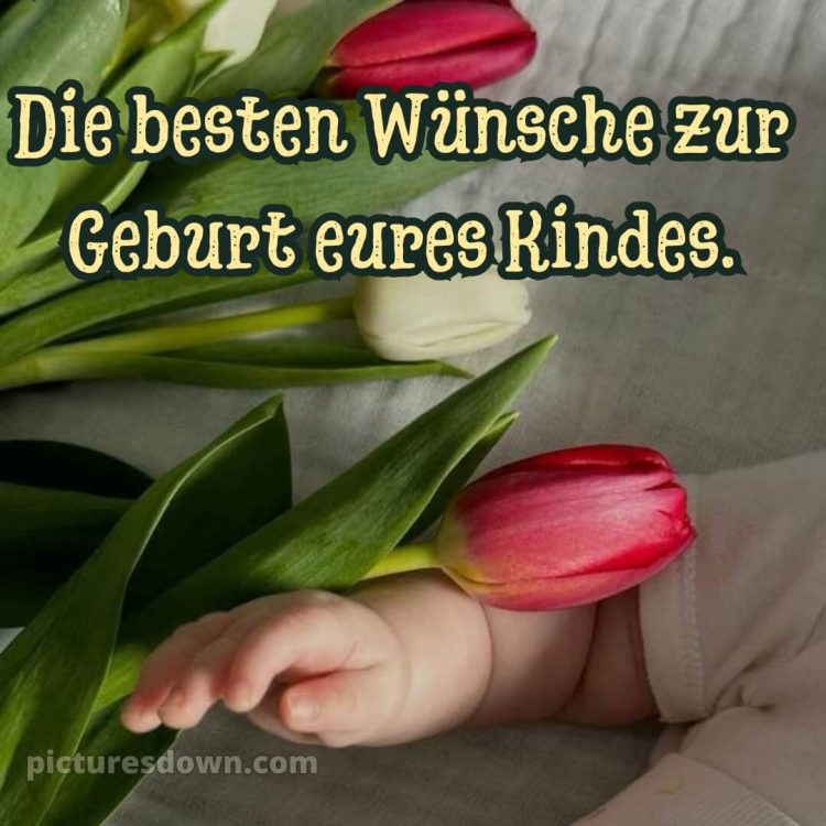 Glückwünsche zur geburt textvorschläge bild Tulpen kostenlos