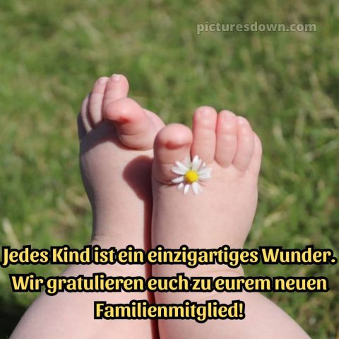Glückwünsche zur geburt textvorschläge bild Gänseblümchen kostenlos