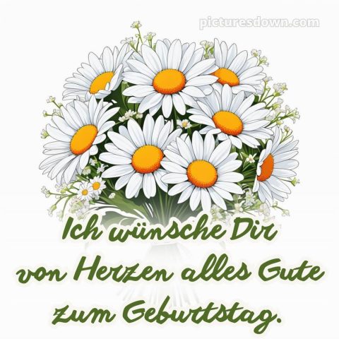 Glückwunsch Geburtstag bild Gänseblümchen kostenlos