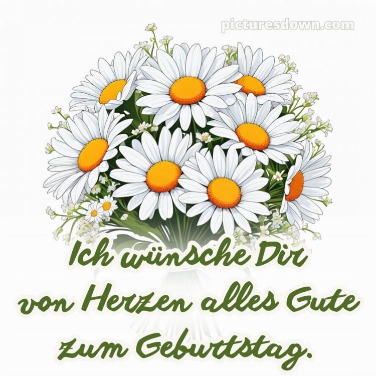 Glückwunsch Geburtstag bild Gänseblümchen kostenlos