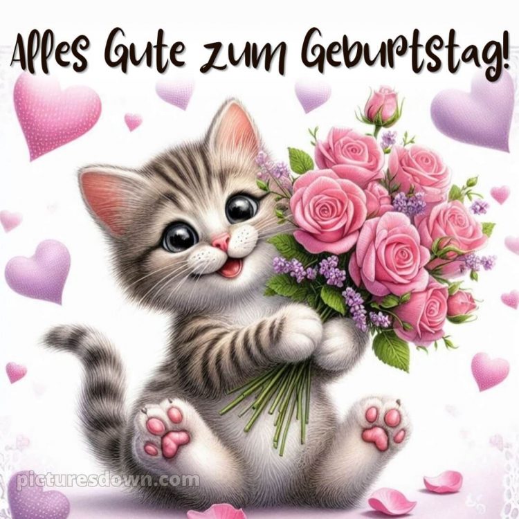 Glückwunsch Geburtstag bild Katzen kostenlos