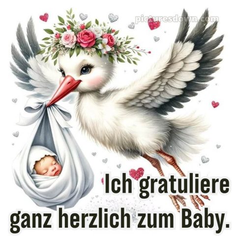 Gratulation zur geburt bild Blumen kostenlos