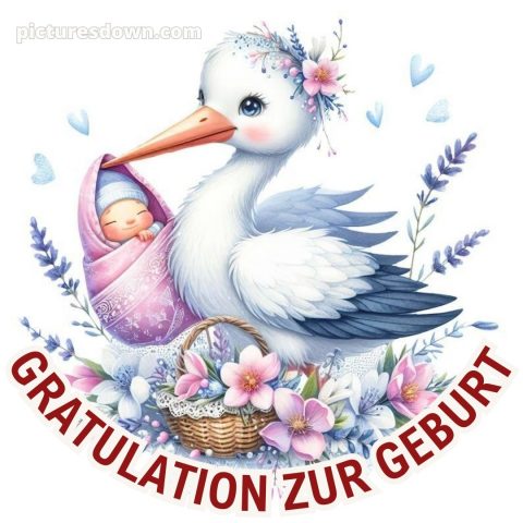 Herzlichen glückwunsch zur geburt bild Vogel kostenlos