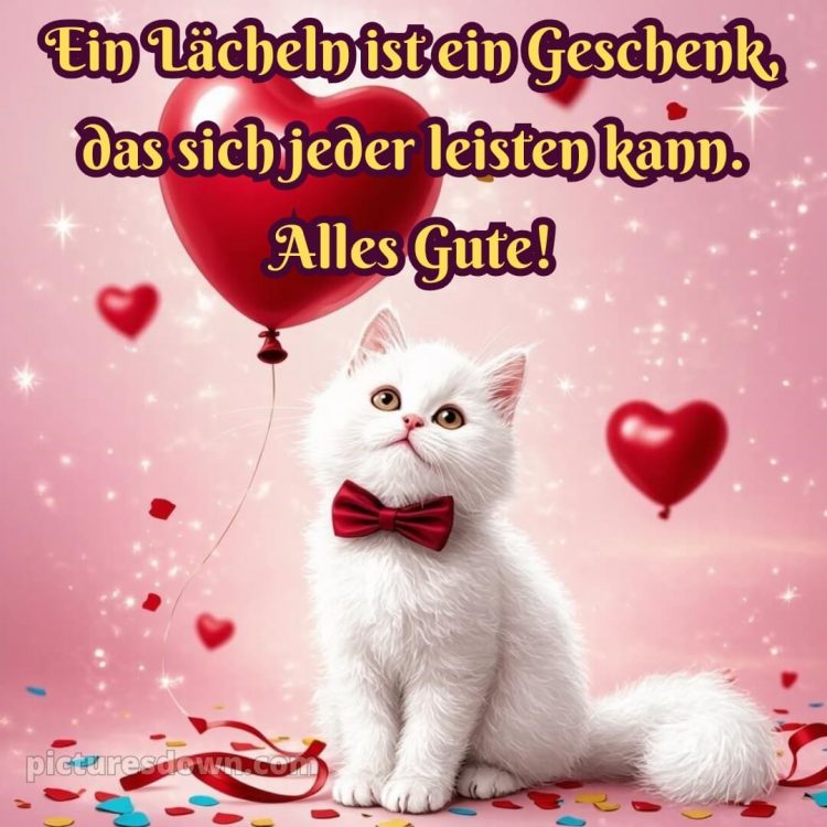 Spruch zum geburtstag bild Katze kostenlos