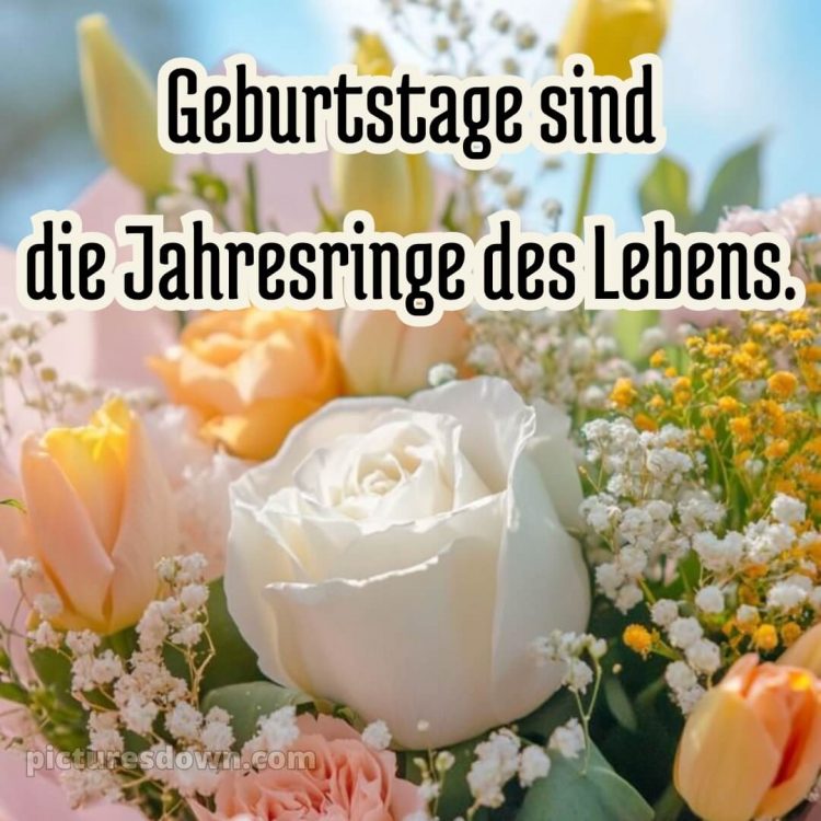 Sprüche geburtstag bild Rosen kostenlos