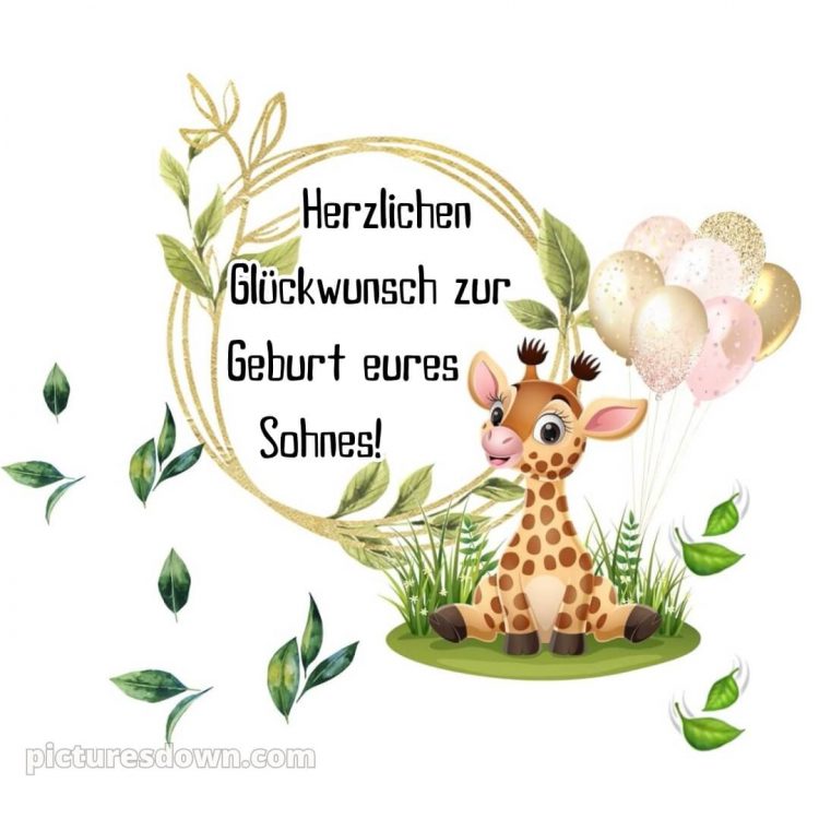 Sprüche zur geburt junge bild Giraffe kostenlos