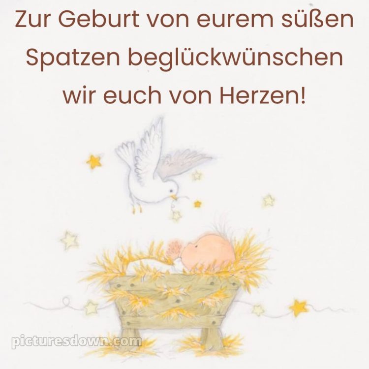 Sprüche zur geburt junge bild Vogel kostenlos