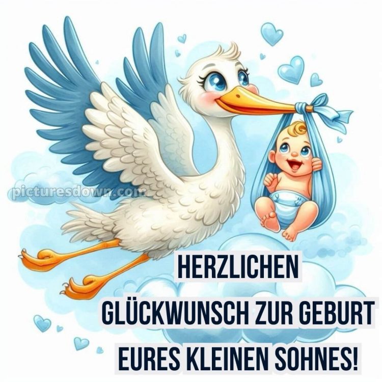 Sprüche zur geburt junge bild Storch kostenlos