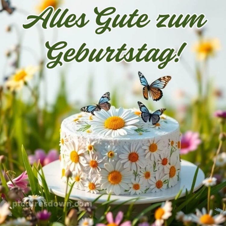 Alles gute zum geburtstag frau bild Schmetterling kostenlos