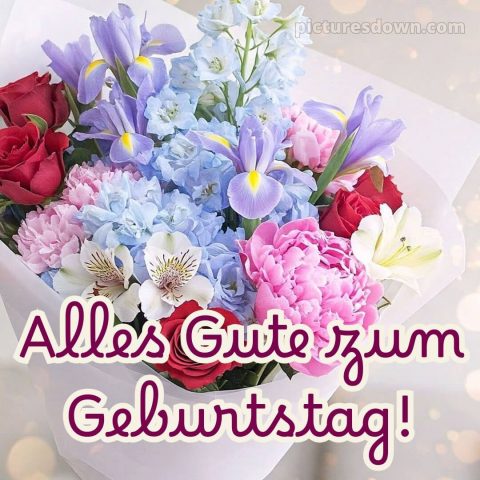 Alles gute zum geburtstag frau blumen bild Hortensien kostenlos