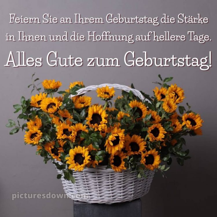 Alles gute zum geburtstag frau blumen bild gelbe Blumen kostenlos