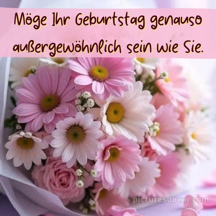 Alles gute zum geburtstag frau blumen bild Chrysanthemen kostenlos