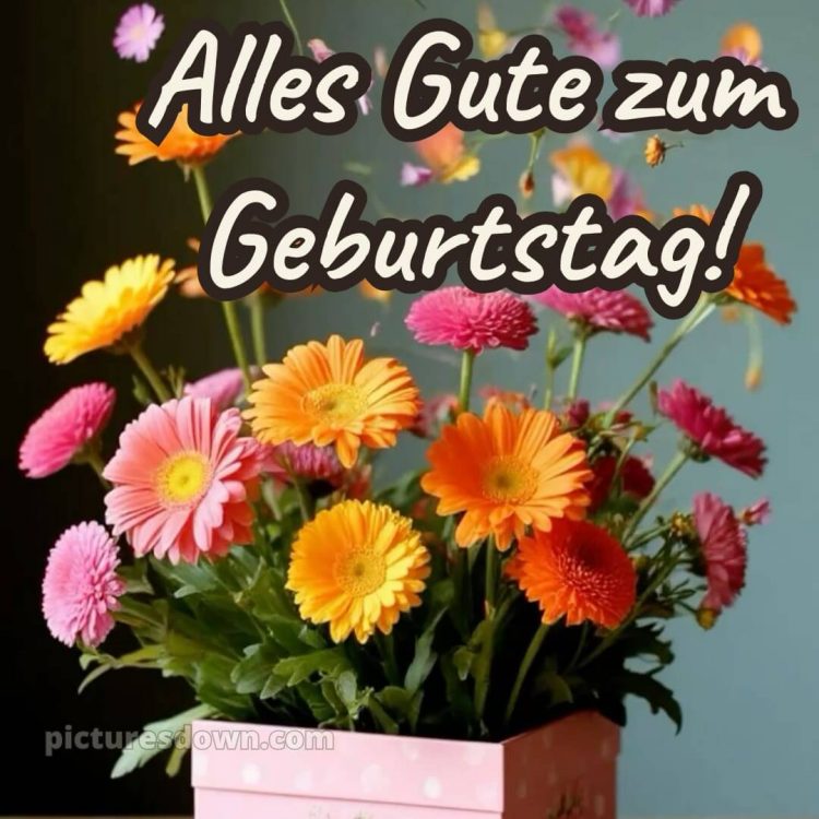 Alles gute zum geburtstag frau blumen bild Bouquet kostenlos