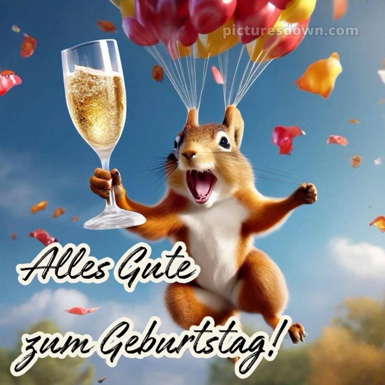 Alles gute zum geburtstag frau lustig bild Eichhörnchen kostenlos