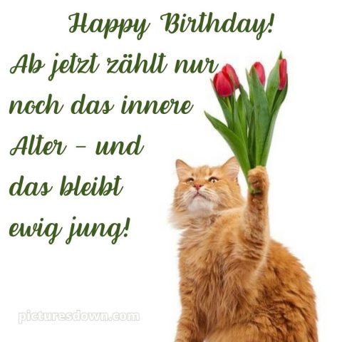 Alles gute zum geburtstag frau lustig bild 11 kostenlos