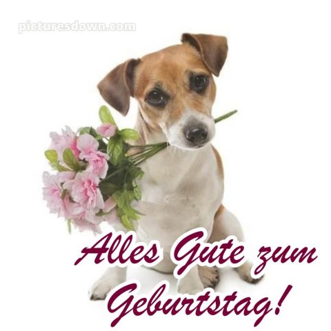 Alles gute zum geburtstag frau lustig bild 14 kostenlos