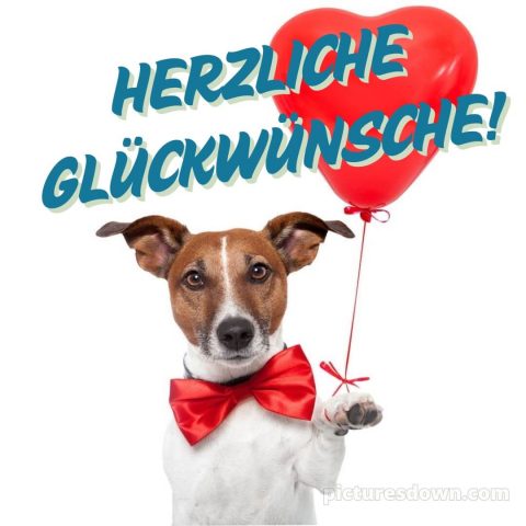 Alles gute zum geburtstag frau lustig bild 6 kostenlos