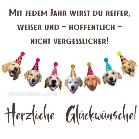 Alles gute zum geburtstag lustig bild Hunde kostenlos