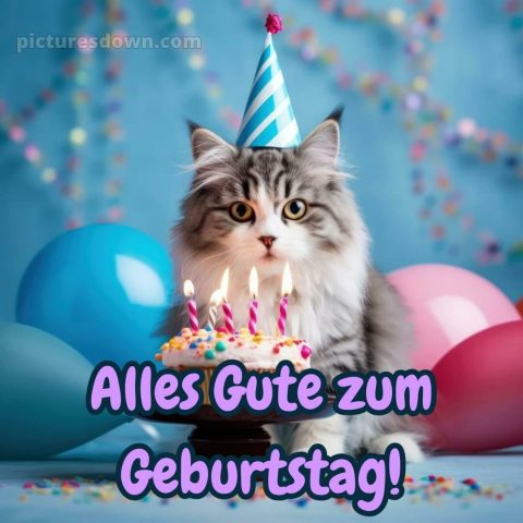 Alles gute zum geburtstag lustig bild Katze kostenlos