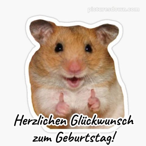 Alles gute zum geburtstag lustig bild Hamster kostenlos