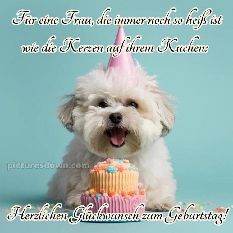 Alles gute zum geburtstag lustig frau bild Hund und Kuchen kostenlos