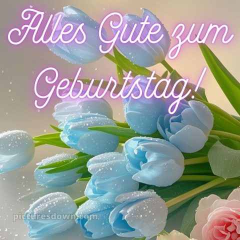 Geburtstagsgrüße alles gute zum geburtstag frau bild Tulpen kostenlos