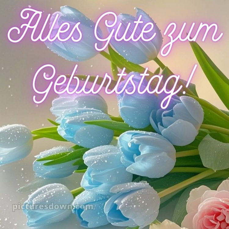 Geburtstagsgrüße alles gute zum geburtstag frau bild Tulpen kostenlos