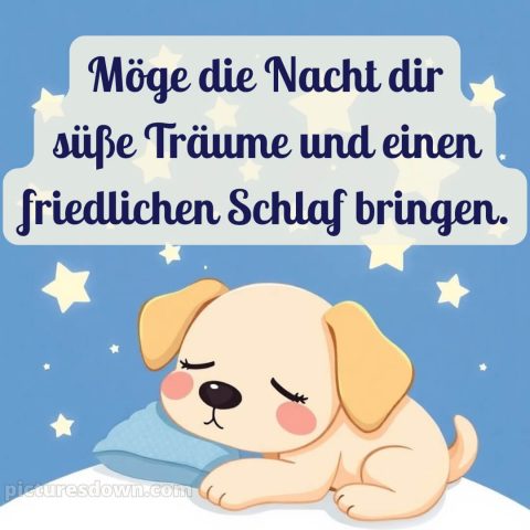 Gute Nacht wünsche ich dir bild Hund kostenlos