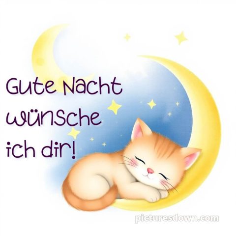 Gute Nacht wünsche ich dir bild Kätzchen kostenlos