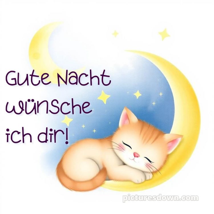 Gute Nacht wünsche ich dir bild Kätzchen kostenlos