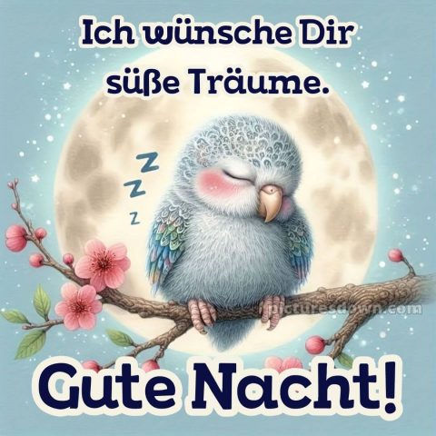 Gute Nacht wünsche ich dir bild Zweigstelle kostenlos