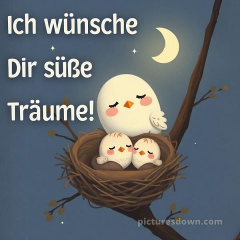 Gute Nacht wünsche ich dir bild Nest kostenlos