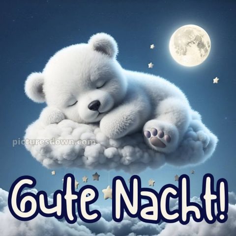 Gute Nacht wünsche ich dir bild Bär kostenlos