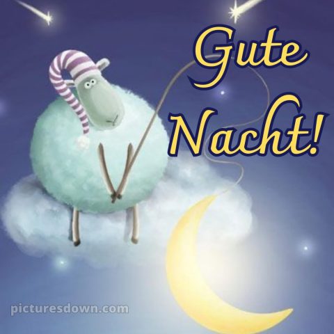 Gute Nacht wünsche ich dir bild Schafe kostenlos