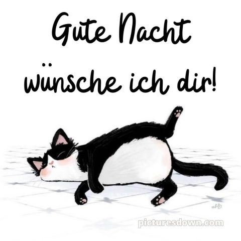 Gute Nacht wünsche ich dir bild Katze kostenlos