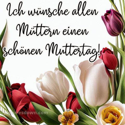 Ich wünsche allen müttern alles gute zum muttertag bild Tulpen kostenlos