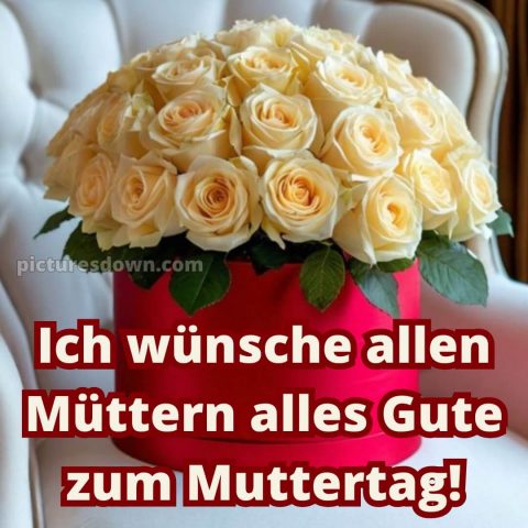 Ich wünsche allen müttern alles gute zum muttertag bild Box kostenlos