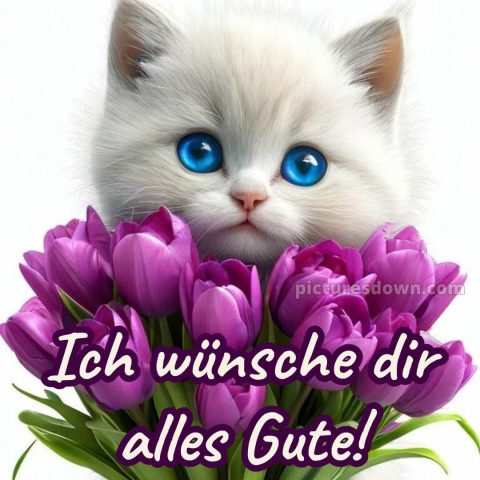 Ich wünsche dir alles gute bild 11 kostenlos