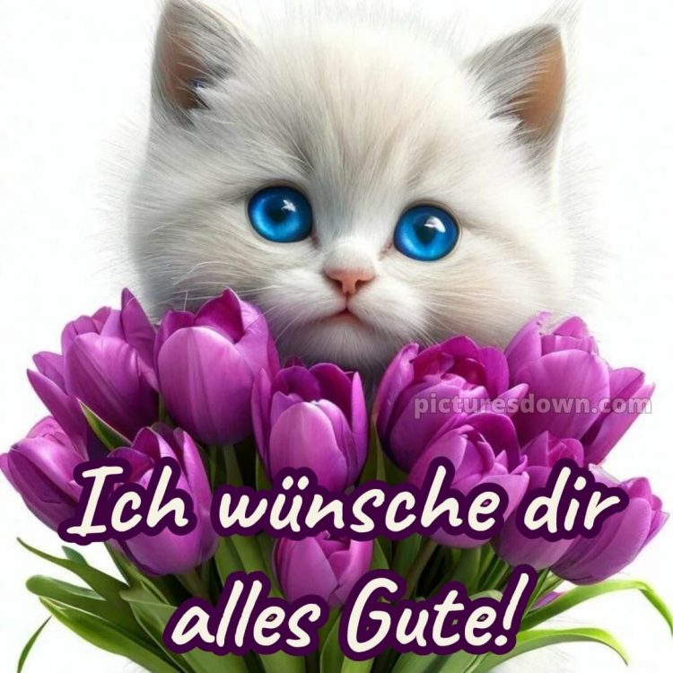 Ich wünsche dir alles gute bild 11 kostenlos