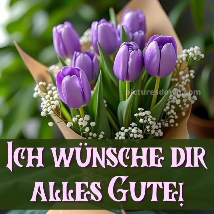 Ich wünsche dir alles gute bild 12 kostenlos