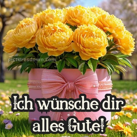 Ich wünsche dir alles gute bild 15 kostenlos