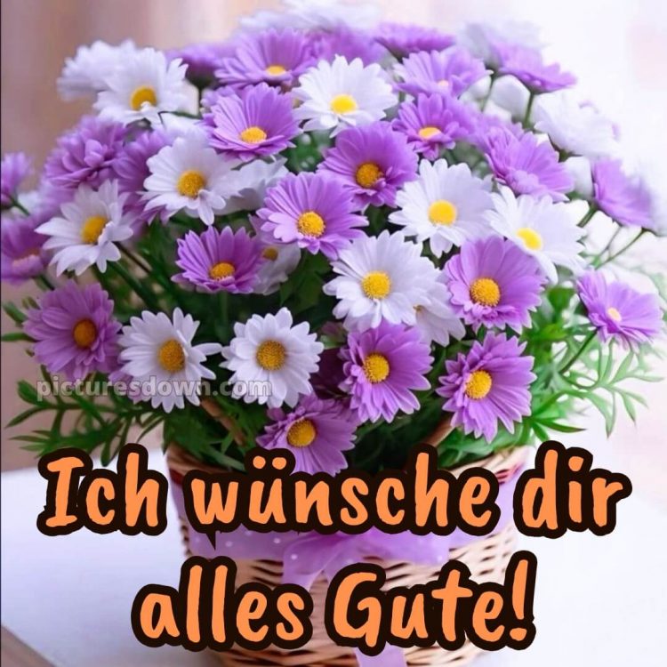 Ich wünsche dir alles gute bild 8 kostenlos