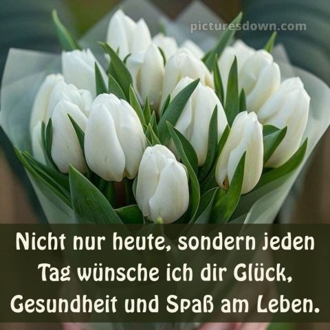 Ich wünsche dir alles liebe und gute zum geburtstag bild Tulpen kostenlos