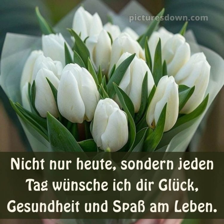 Ich wünsche dir alles liebe und gute zum geburtstag bild Tulpen kostenlos