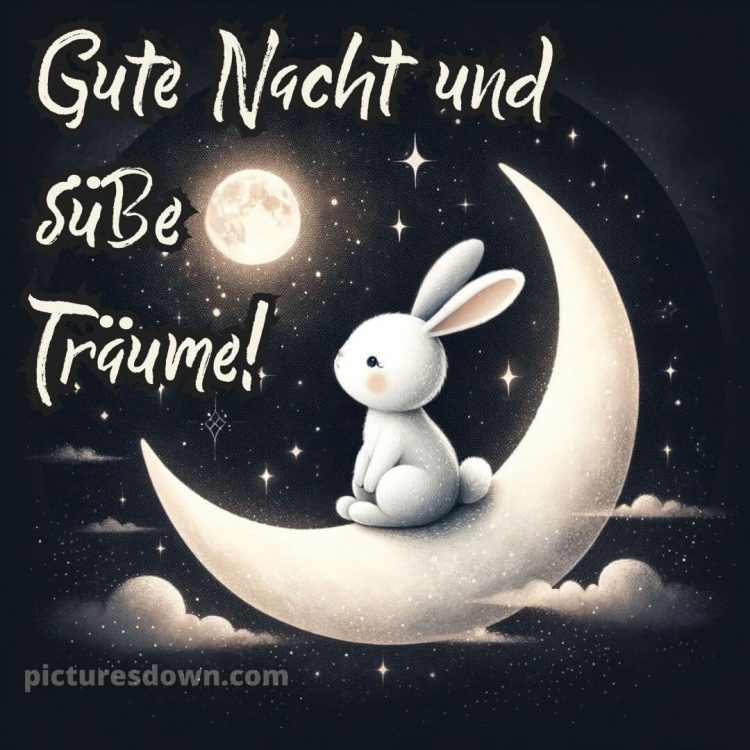 Ich wünsche dir eine gute nacht bild 1 kostenlos
