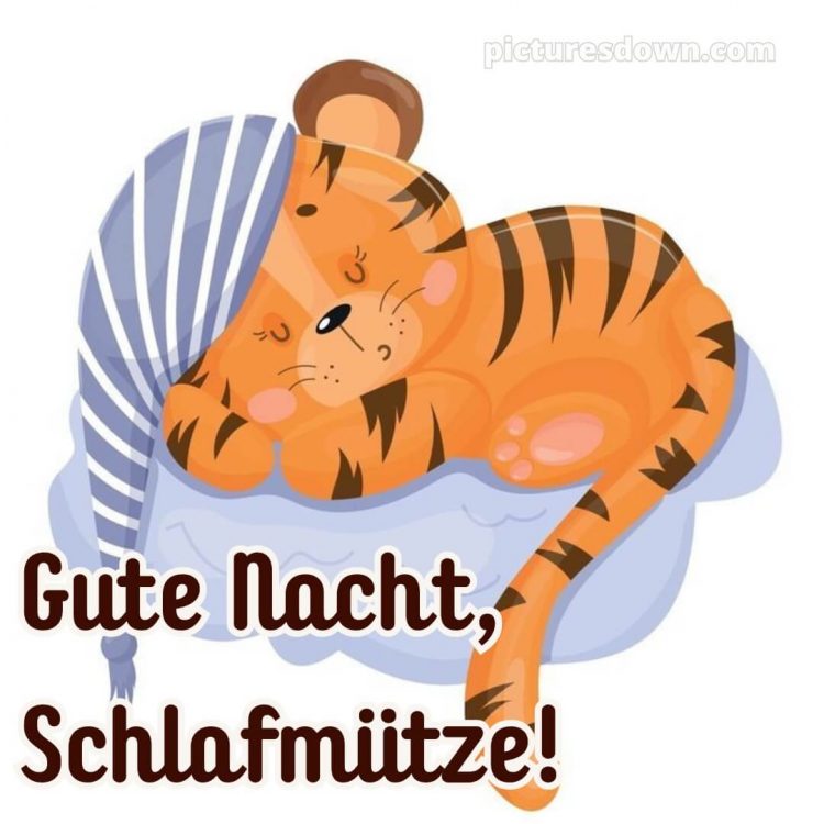 Ich wünsche dir eine gute nacht bild 12 kostenlos