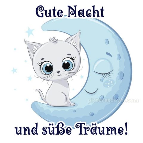 Ich wünsche dir eine gute nacht bild 13 kostenlos