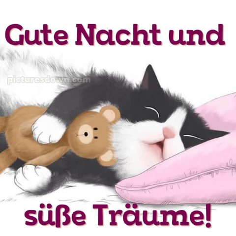 Ich wünsche dir eine gute nacht bild 5 kostenlos