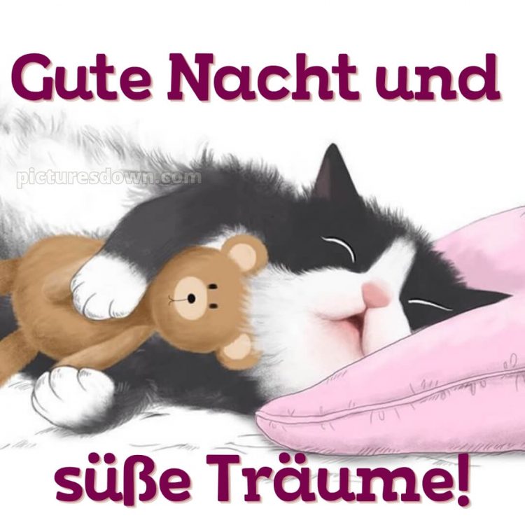 Ich wünsche dir eine gute nacht bild 5 kostenlos