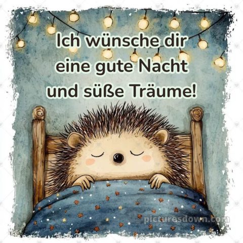 Ich wünsche dir eine gute nacht und süße träume bild Igel kostenlos